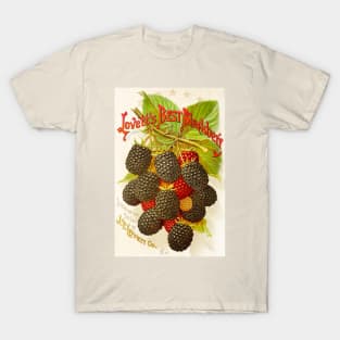 Lovett's Best Blackberry Ad T-Shirt